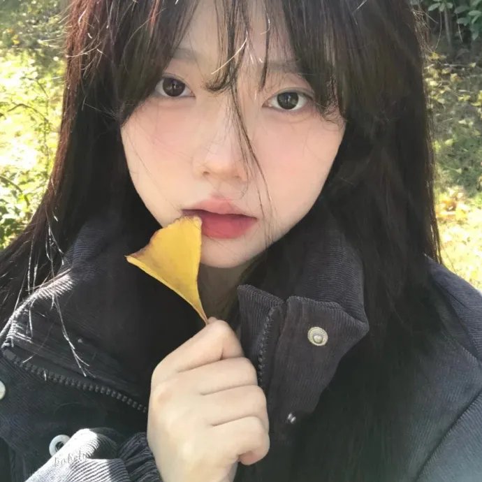 风流访员