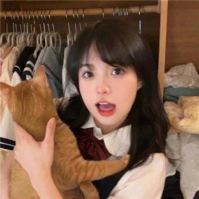 堕落2014